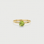 Peridot Ring in 14K Yellow Gold-AlmaDiPietra Peridot Ring in 14K Yellow Gold-AlmaDiPietra